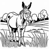 Grazing donkey Coloring Page Lulu Pages sketch template