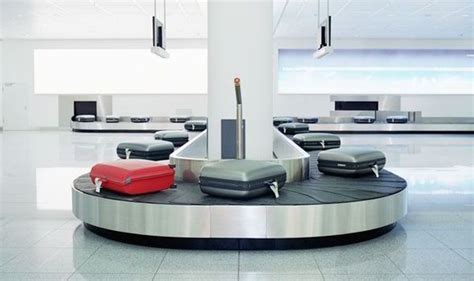 Wanted man fled on airport baggage carousel | UK | News | Express.co.uk