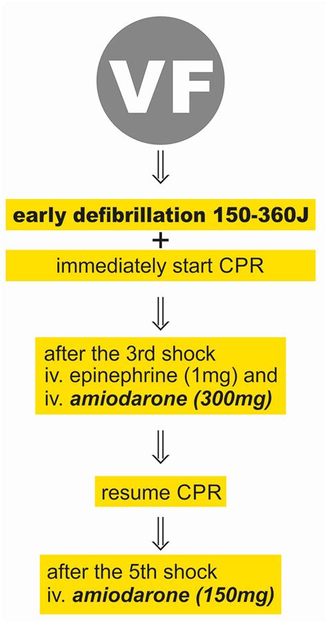 Frontiers | Handling of Ventricular Fibrillation in the Emergency ...