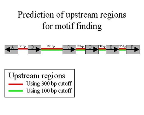 Explanation of operon prediction