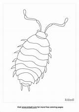 Plaga Piojos Lice Plague Plagues Gnats Colorir Plagen Ausmalbilder  sketch template