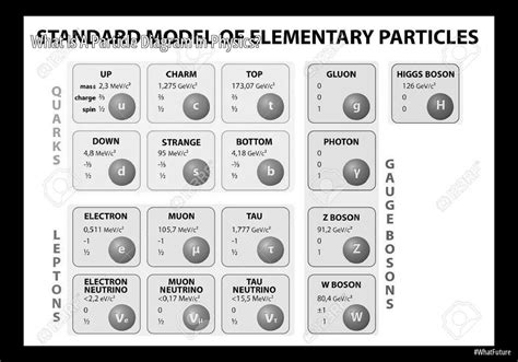 What is a particle diagram in physics?