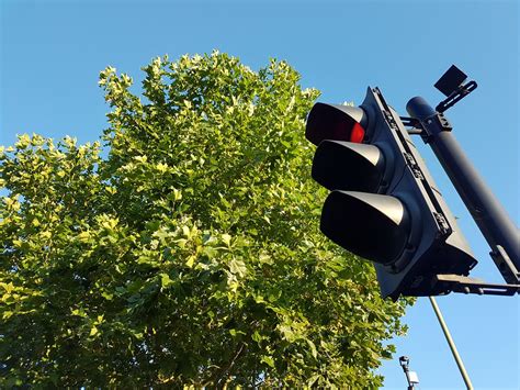 Traffic light and tree | traffic light and tree | Flickr