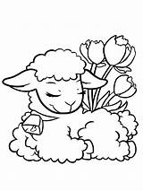 Sleeping Lamb coloring Page  Download Print Or Color Online For Free sketch template