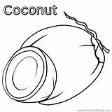 Coconut Coloring Pages Printable PDF  Coloringfoldercom sketch template