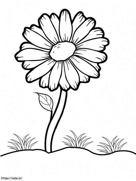 Easy Daisy Flower coloring page