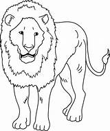 Lion Coloring Page  Free Clip Art sketch template