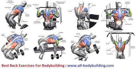 Back Exercises For Bodybuilding | Gym workout chart | Back exercises ...