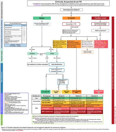 Acute Pulmonary Embolism: Management of Massive and Submassive Pulmonary Embolism - RECAPEM