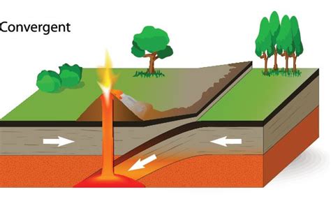 Convergent Boundaries | Plate tectonics, Plate boundaries, Science fair ...