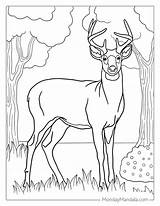 Printable Hunting Coloring Pages sketch template