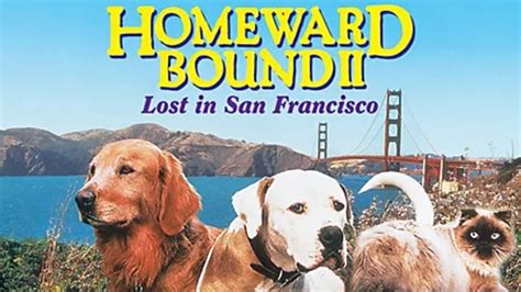 Homeward Bound II: Lost In San Francisco 1993 Disney Film | Review - YouTube