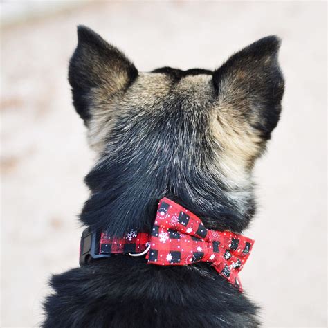 2021 Personalized Dog Collars With Bow Tie Christmas Style Pet Collar ...