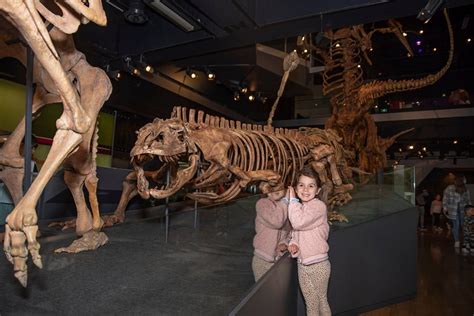 10 Best Museums in Melbourne for Kids and Families - Mum's Little Explorers