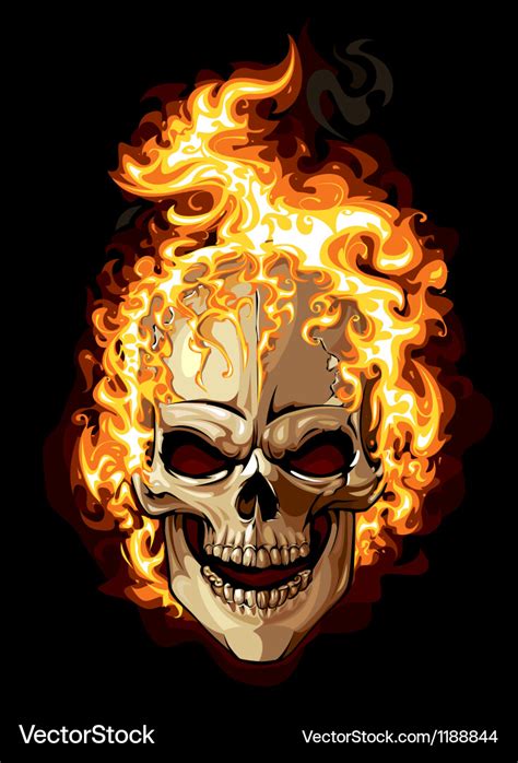 Burning skull on black background Royalty Free Vector Image