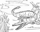 Free Printable Alligator Coloring Pages For Kids sketch template