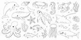 Sea And Ocean animals coloring Page Cute Dolphin Whale Crab  sketch template