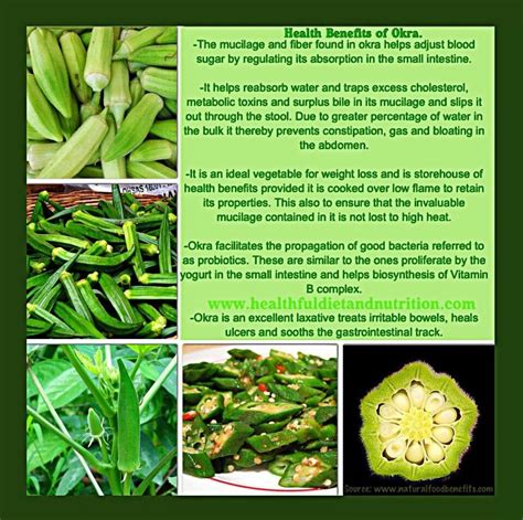 Boiled Okra Nutrition Facts at Jorge Neal blog