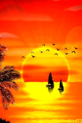 a sunset with sailboats on the water and birds flying in the sky