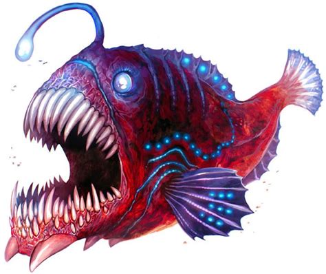 Anglerfish by Corbella on DeviantArt | Angler fish, Fish artwork ...