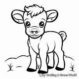 Bison Coloring Pages  Free & Printable sketch template