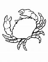 Free Printable Crab Coloring Pages For Kids  Animal Place sketch template