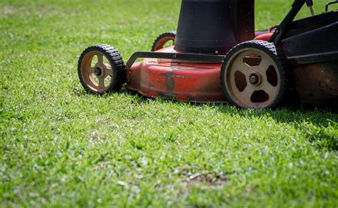 Red and Black Push Lawn Mower on Green Grass · Free Stock Photo