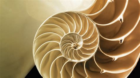 An inspiration from nature: Biomimicry