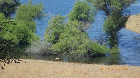 Paleo Mermaid: Hiking - Folsom Lake Trail - May 24, 2013