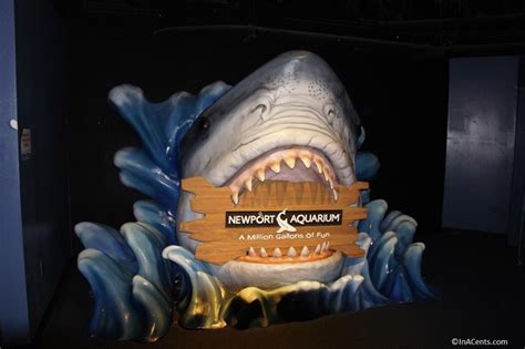 A Day at the Newport Aquarium with Kids - InACents.com