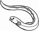 Electric Eel Coloring Page At GetColoringscom  Free Printable sketch template