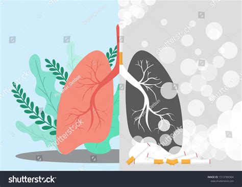 Lungs Illustration Very Professional Creative Design Stock Vector ...