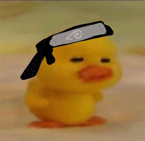 Duck mood pfp | Line friends, Ducky, Best memes