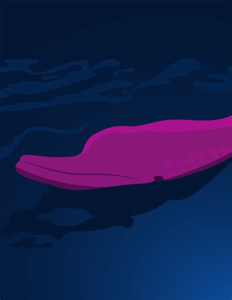 Amazon River Dolphin Illustration on Behance