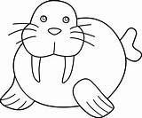 Walrus Coloring Pages sketch template
