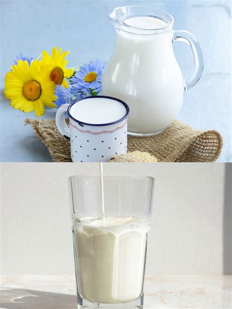 Organic Milk vs Regular Milk: Unveiling the Healthy Choice