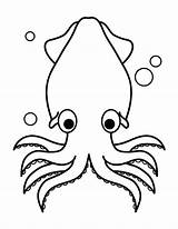 Desenhos De Lula Para Colorir Imprimir E Pintar  Coloringlib sketch template