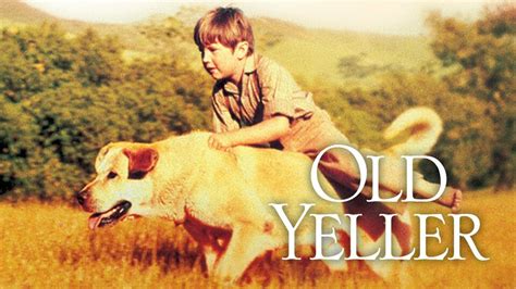 Old Yeller - Movie - Where To Watch