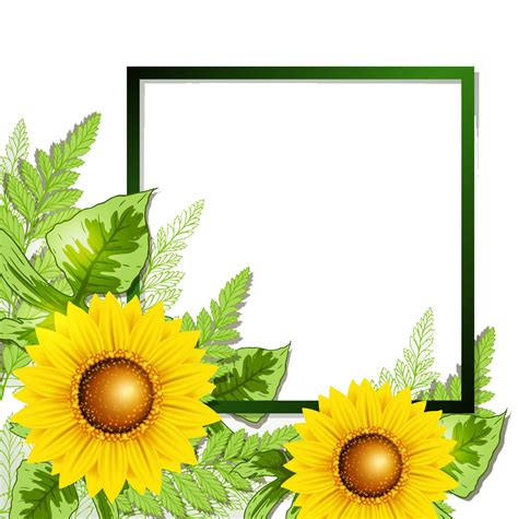 Sunflower border png, Sunflower border png Transparent FREE for download on WebStockReview 2024