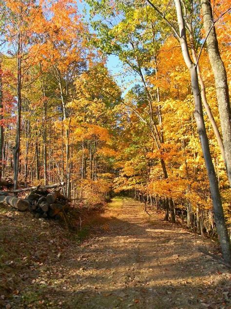 Wetzel County In West Virginia by Mary Huggins Country Roads Take Me Home, Country Life ...