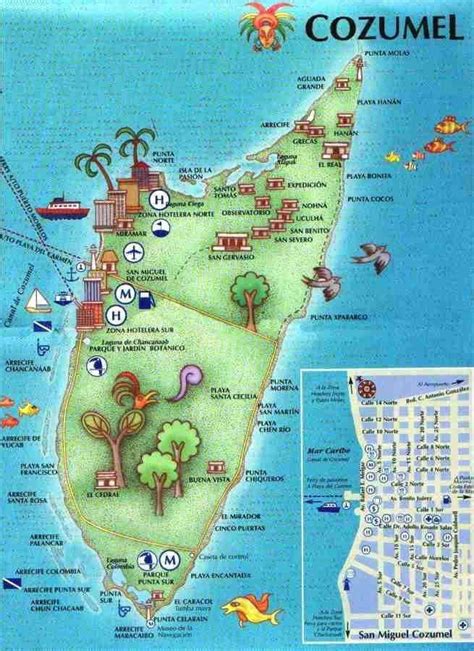 Cozumel port map - portgreen