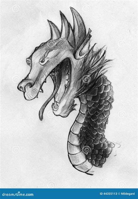 Chinese Dragon Drawing In Pencil