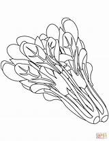 Spinach coloring page  Free Printable Coloring Pages sketch template