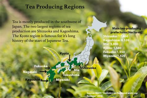 Japanese Tea Growing Regions - Global Japanese Tea Association