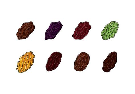 RAISINS VECTOR - Download Free Vector Art, Stock Graphics & Images