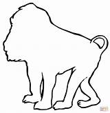 Baboon Coloring Pages Animal African Animals Wild Kids Drawing Africa  sketch template