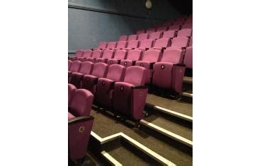 Stag Theatre Seating Case Study | Ferco