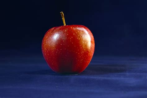 One Apple Free Stock Photo - Public Domain Pictures
