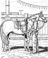 Collection Of Rodeo Coloring Pages  Free Printable sketch template