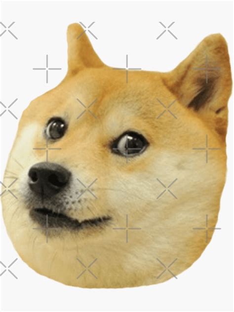 "Doge Head meme" Sticker for Sale by jamcaYT | Redbubble